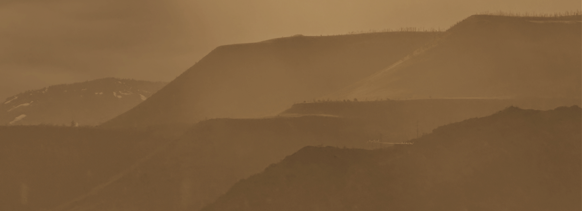 Wildfire Mitigation