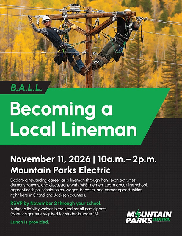 BALL Flyer