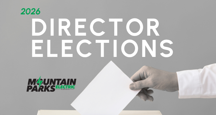 Director Elections